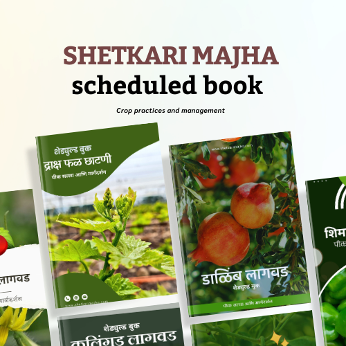 scheduled book image